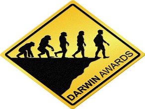 darwin awards honorable trophy joke 3d print model - Mito3D