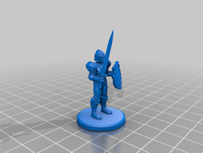 armed guard dth beta character - see description desktop hero dnd fighter paladin soldier soldiers warrior warriors dth3d fighters unit paldin 3d print model - Mito3D