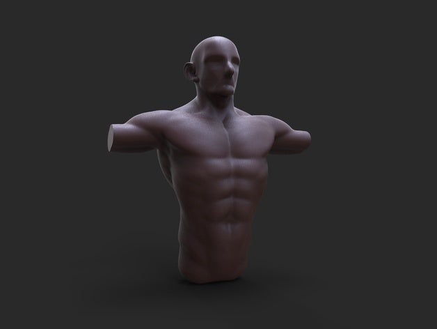 esboço 6 anatomia masculina o corpo menino do sexo masculino muscular 3D print model - Mito3D
