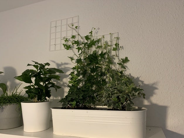 pflanze raster befeuchten efeu grid rankhilfe Wand die Wandmontage Zauberstab wandhalter 3D print model - Mito3D