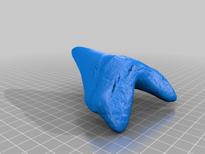 megalodon dente carcharocles otodus tubarão 3d print model - Mito3D