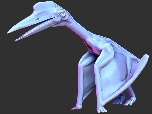 pterosaur dinosaur 3D print model - Mito3D