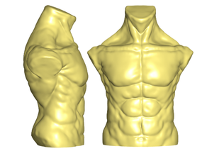 torso masculino frigorífico quadro ímãs feminino ímã de geladeira do sexo branco magnético 3d print model - Mito3D