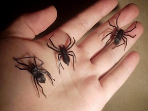 ragno domestico animale aracnide nero i bug crawler creatura raccapricciante haloween di casa spaventoso semplice spider 3d print model - Mito3D