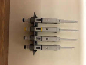 pipette eppendorf rack porte stand 3d print model - Mito3D