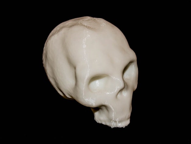 human skull art halloween decoration head skulls 3D print model - Mito3D