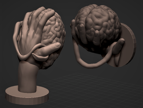 hand sculpture brain guts halloween decoration horror 3d print model - Mito3D