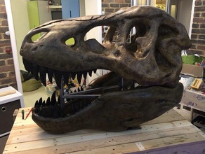 large t rex recut skull 3d print model - Mito3D