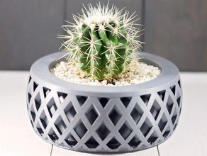 criss cross fioriera cactus vaso giardino interno impianto indoor pentola fioriere succulente piante grasse titolare pianta succulenta succulento piatto 3d print model - Mito3D