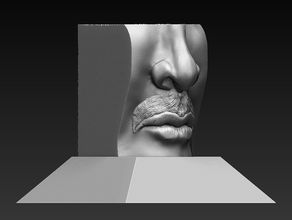 mustache bust 3d print model - Mito3D