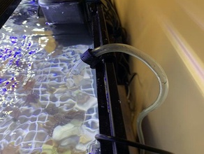 10g petco aquarium ato clip 10 gallons le 3d print model - Mito3D