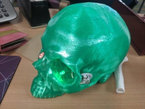 skull ct scan w brain cavity cranium mandible 3d print model - Mito3D