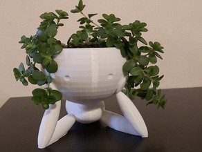 tête pot figure de fleurs fleur les vases planteurs 3d print model - Mito3D