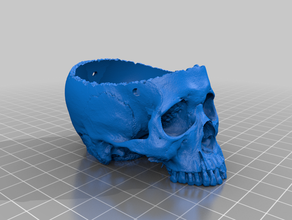 hanging skull planter 3d print model - Mito3D