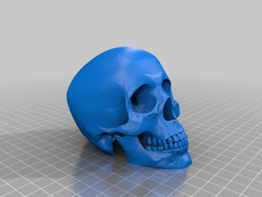 skull cane top glowing eyes 3d print model - Mito3D
