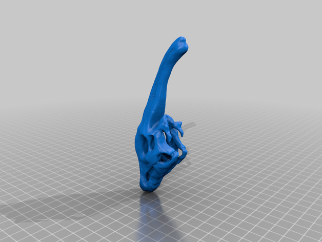 parasaurolophus skull dinosaur hadrosaur 3D print model - Mito3D