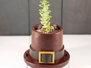 sombrero de peregrino maceta los cactus llavero en interior la las macetas plantadores olla suculentas plantas planta suculenta suculento bote 3d print model - Mito3D