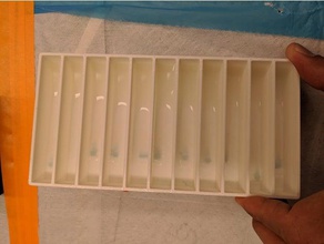 western blotting casella di 11 divisioni il blocco box lab laboratorio scienza blot 3d print model - Mito3D