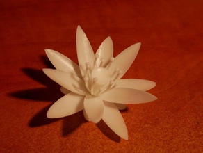 flower lotus fleur 3d print model - Mito3D