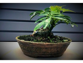 oval maceta de bonsai 110x75x30 mm no soporta contenedor jardín casa la planta olla árbol 3d print model - Mito3D