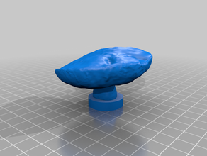 mushroom boletus meshroom 3d print model - Mito3D