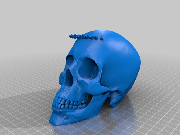 la etiqueta cráneos 3D print model - Mito3D