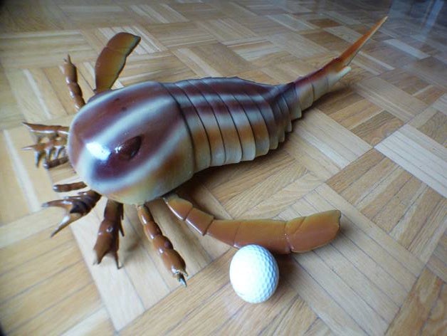 die sea scorpion eurypterid eurypterus ausgestorben Fossilien prähistorische Silur 3D print model - Mito3D