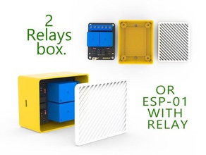 2 relays box esp-01 relay case cover esp 3d print model - Mito3D