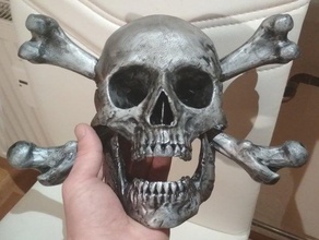 pirate skull 3d print model - Mito3D