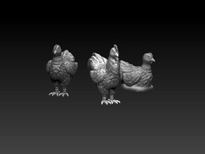les poulets le mdn donjons dragons pathfinder townsfolke 3d print model - Mito3D