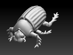 dev böcek beetle dungeons dragons pathfinder bokböceği 3d print model - Mito3D