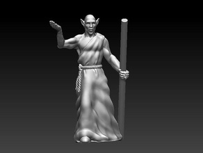 elven mystic caster druid elf mage sorcerer wizard 3d print model - Mito3D