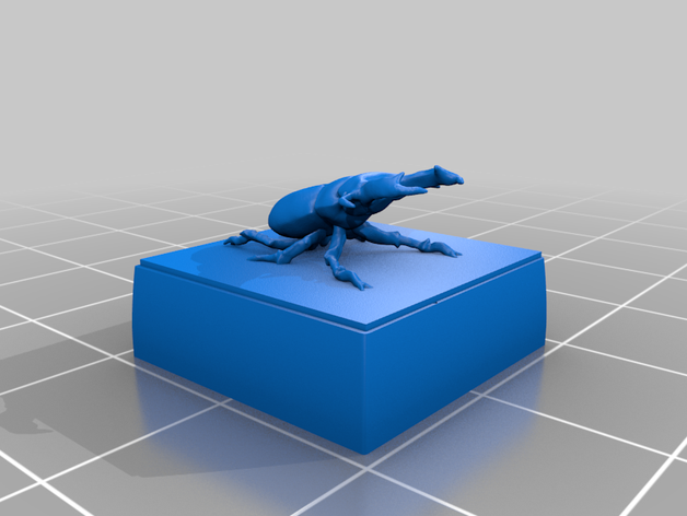 beetle 3D print model - Mito3D
