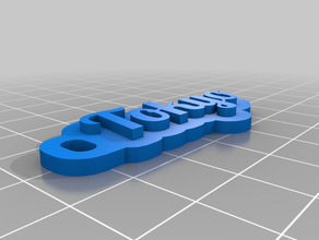 meu personalizados tag de porta-chaves personalizado 3d print model - Mito3D