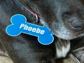 bone shaped personalized dog tag dog dog tag pet pets tag