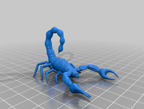 scorpion bug bugs insect insects model poison sculpture zbrush 3d print model - Mito3D