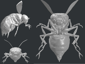 les retombées bloatfly modèle hd des bugs mouche insectes 3d print model - Mito3D