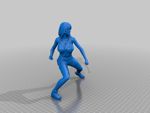 fighter girl 3d print model - Mito3D