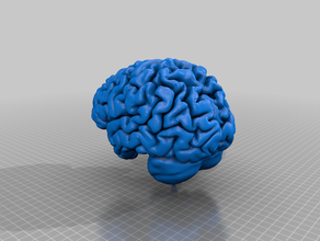 il cervello umano modello di formulario buona risonanza magnetica la 3d print model - Mito3D