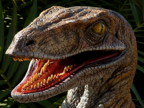 deinonychus raptor cranio scala fette di stampa dinosauro a 3d print model - Mito3D