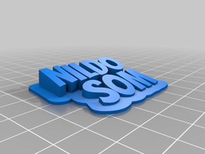 il mio personalizzato spazzare 2-linea targhetta nildo som su misura 3d print model - Mito3D