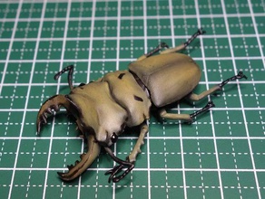 homoderus mellyi inseto lucanidae besouro 3d print model - Mito3D