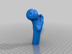 menschlichen Oberschenkelknochen Mensch 3d print model - Mito3D