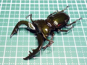 cyclommatus speciosus böcek lucanidae geyik böceği 3d print model - Mito3D