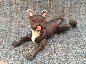 french bulldog bjd renewal animal figure 3d print model - Mito3D