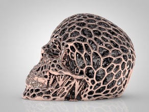 skully brain skull voronoi 3d print model - Mito3D