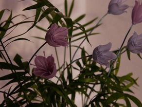 campanule clochette fleur Blume 3d print model - Mito3D