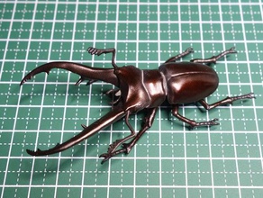 cyclommatus kumandanım böcek lucanidae geyik böceği 3d print model - Mito3D