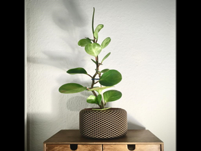 parametric spiral planter customizable decoration design planters 3d print model - Mito3D