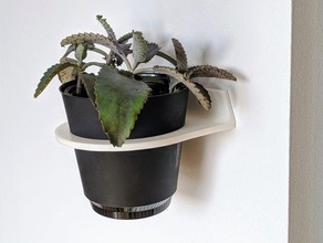 wall planter holder plant planters pot plants succulent succulents vase 3d print model - Mito3D